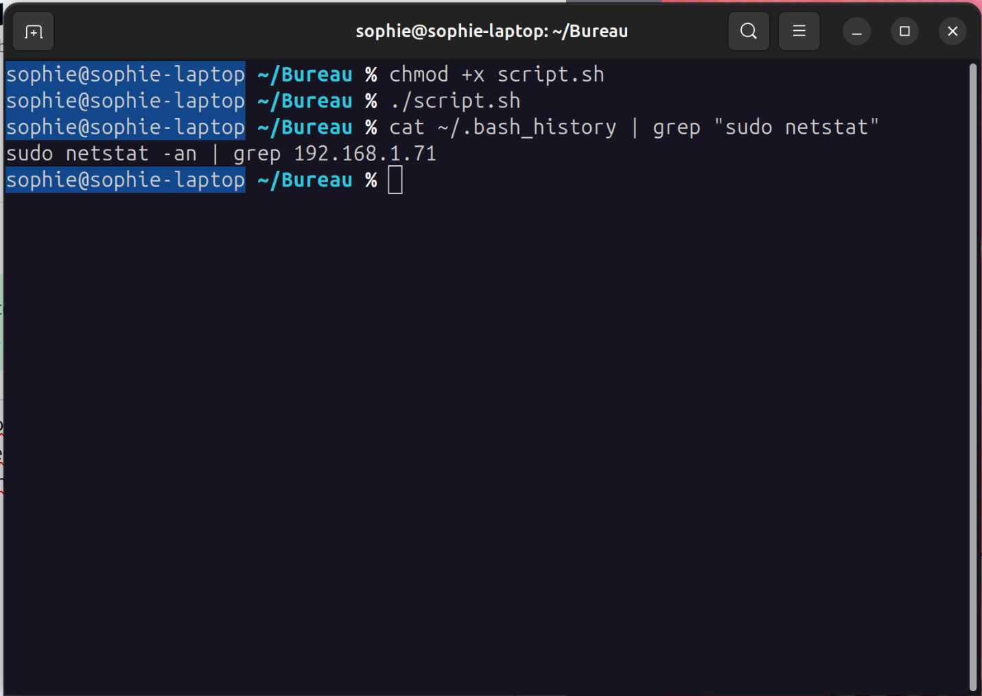 Bash history entry